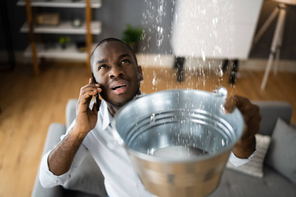 Best Water damage cleanup near me  in Ddleville, MI