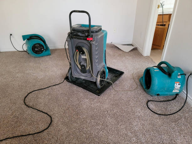 Best Flood damage cleanup  in Ddleville, MI