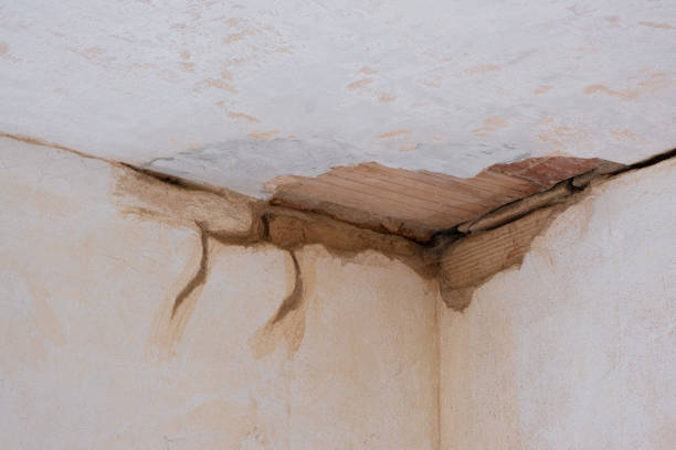 Best 24/7 water damage repair  in Ddleville, MI
