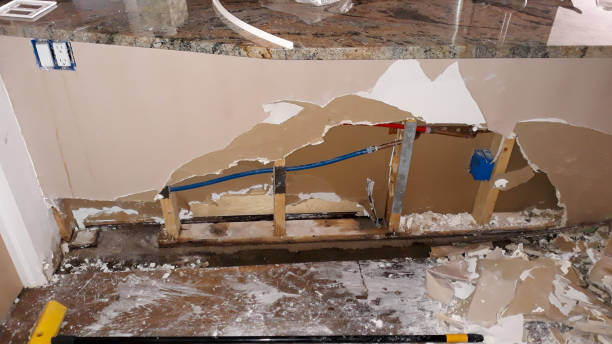 Best Fire Damage Restoration  in Ddleville, MI