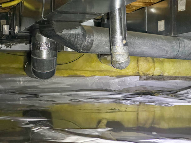 Best Water damage restoration experts  in Ddleville, MI