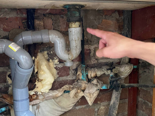 Best Water damage restoration cost  in Ddleville, MI