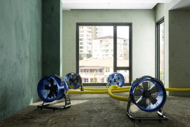 Best Emergency water damage restoration  in Ddleville, MI